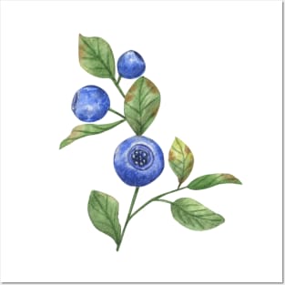 Blueberries Posters and Art